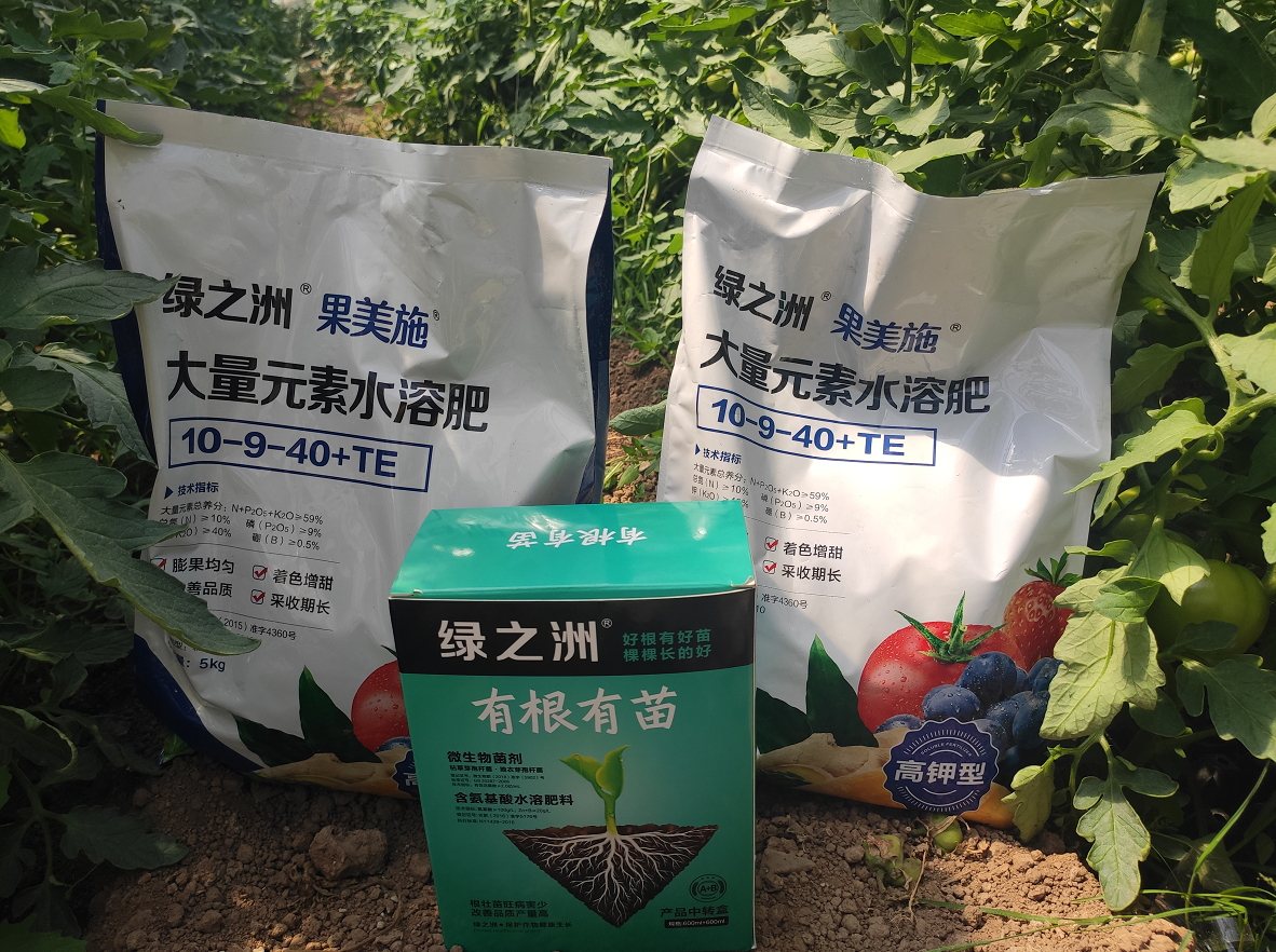 為什么這么多人用綠之洲水溶肥？